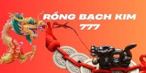 Rồng bạch kim 777